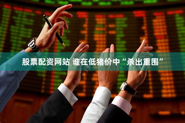 股票配资网站 谁在低猪价中“杀出重围”