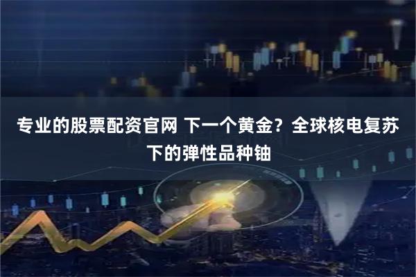 专业的股票配资官网 下一个黄金？全球核电复苏下的弹性品种铀